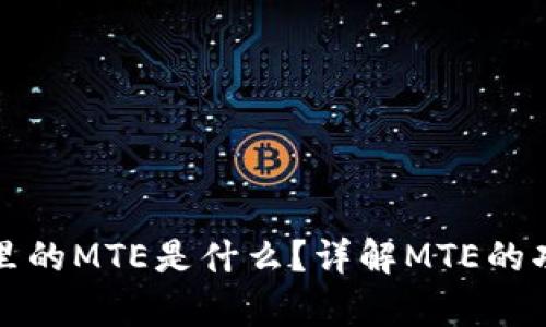 : tp钱包里的MTE是什么？详解MTE的功能与应用
