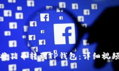 如何将猪币转到TP钱包：详细视频教程