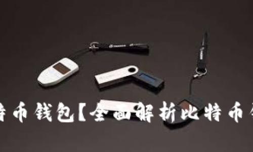 怎样选择合适的比特币钱包？全面解析比特币钱包的类型与安全性