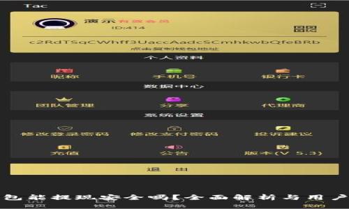 TP钱包能提现安全吗？全面解析与用户指南