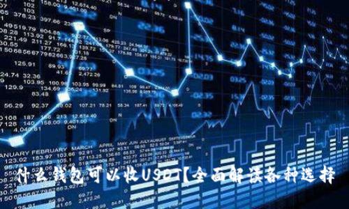 什么钱包可以收USDT？全面解读各种选择