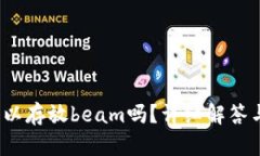 t p钱包可以存放beam吗？详细解答与使用技巧